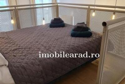 Apartament 60 Euro pe zi, amenajat in stil unic langa Primaria Arad - 7