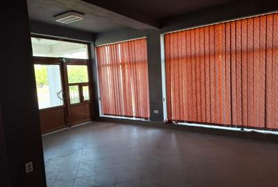 VILA S+P+E+M  cu SPATIU COMERCIAL  central in Nadlac - 11