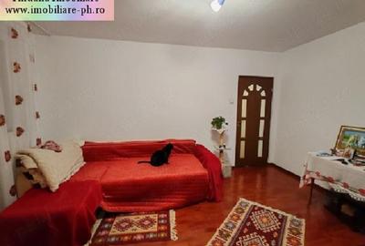 Apartament 2 camere de vanzare : Vest-(Zarandului), semimobilat - 4