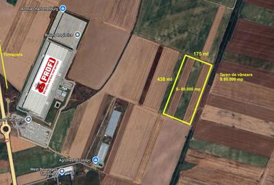 Teren extravilan 80.000 mp – lângă calea ferată & Profi Logistic – Șag - 1