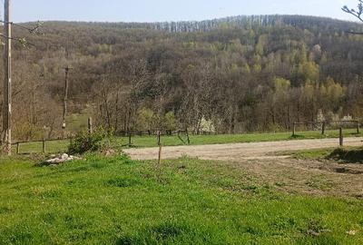 Vând terenuri,intravilane și extravilane !!! - 3