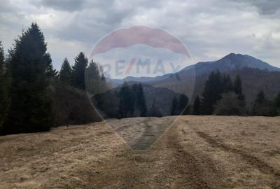 Teren Rasnov/ Soseaua Predealului DN73B - 5