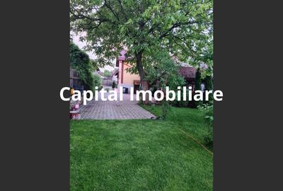 Vilă de vânzare, 7 Camere, 350 mp, Saula - 1