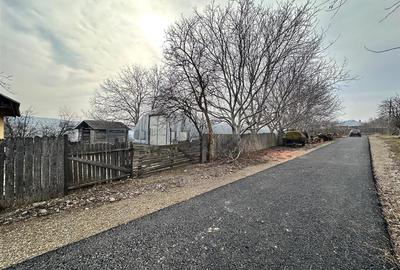 Hala/ cort ciupercarie, crestere pui, 400mp, Dumesti - 7