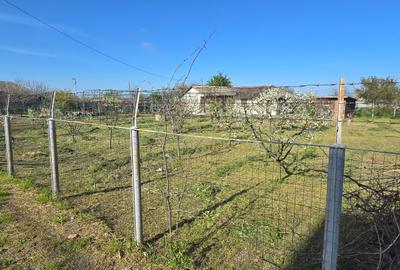 Exclusivitate-Vadu, zona centrala, casa 75mp, teren 1917 mp/31ml deschidere - 36