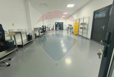 2 Hale industriale noi | 539 mp fiecare |  Moara Vlasiei - 6