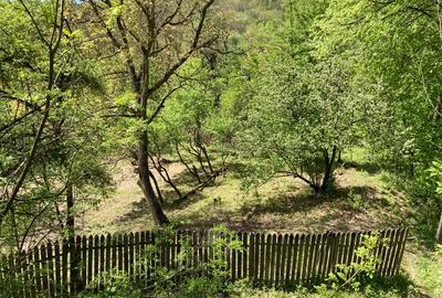 DOMENIU EXCLUSIVIST Băile Govora: 2500 mp cu Helesteu, Pârâu, Pădure, Utilități - 3