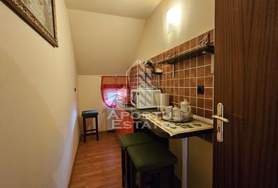 Vila de vanzare in Ghioroc - 18