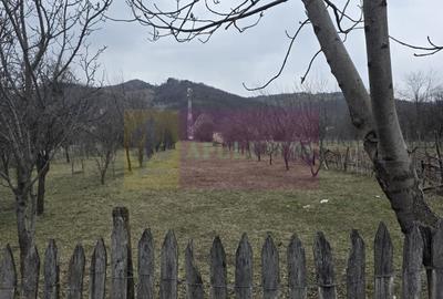 Teren 734 mp intravilan de vanzare in Brebu - 8