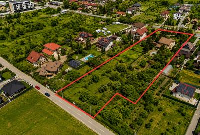 Oportunitate Rară în Ciorogârla– 8.000 mp Teren | Dublu Acces Asfaltat - 2