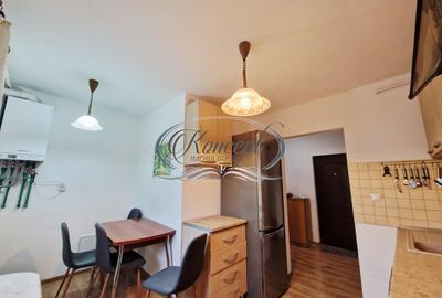 Apartament spatios, bine izolat, aproape de centru, in zona Plopilor - 7