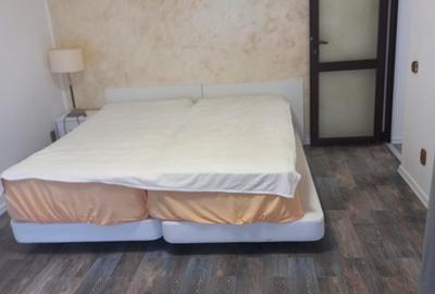 Snagov Astoria aproape padure Vila tip duplex Mobilata Utilata Curte amenajata - 7