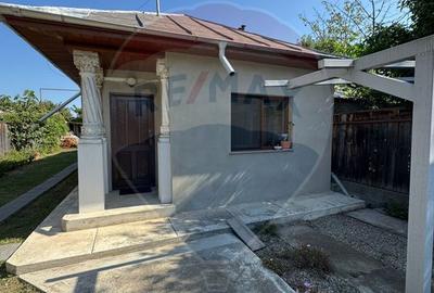 Casă / Vilă nouă cu 5 camere + casă bătranească renovată - 14