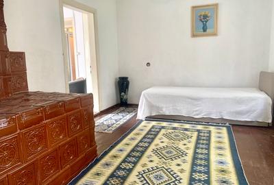 Potențial pensiune / investiție / casa de vacanță - 3
