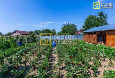 Vila P si 1E,  teren 1000 mp, loc. Dumbrava, jud Bacau - 13