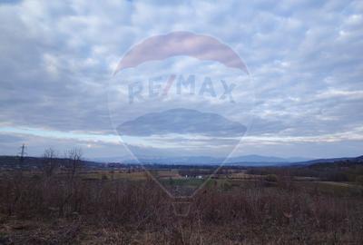 Teren cu panorama superba în Berchezoaia + bonus rulota - 3