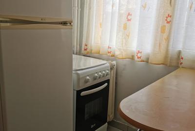Dristor, garsoniera, metrou 1 minut, Pet Friendly, utilata si mobilata, et.4/10 - 16