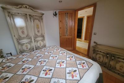 Cabana de vanzare ,Valea Avrigului/ 3000 mp/Langa padure - 18