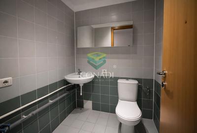 Apartament cu 4 camere de inchiriat Zona Soseaua Nordului - 22