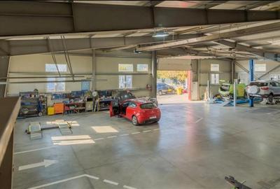 Vanzare depozit/hala/spatiu industrial - SERVICE AUTO Domnesti - Centura, ILFOV - 3