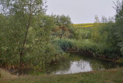 Teren parțial intravilan-300000mp Stroiești-Trei Movile, Suceava - 3