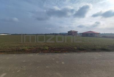 Dragomiresti Valea - Langa Centura, teren 15.600 mp, 35E/mp - 3