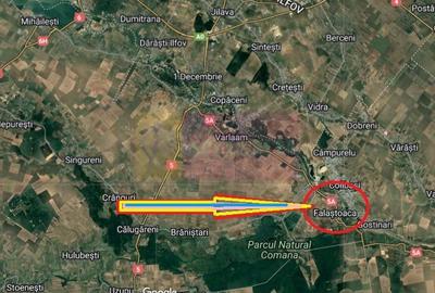 Hală producție Ambalaje Carton și casă locuibilă la 25km de București - 4