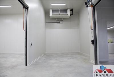Oferta investitie -1300mp hala depozitare cu temperatura controlata - 14