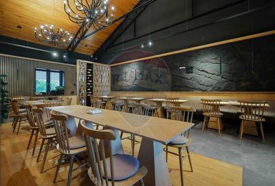 Hotel-Spa-Restaurant nou de Vânzare, 26 Camere, în Padiș, - 22