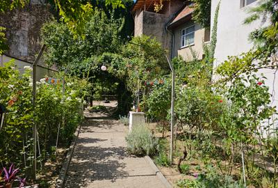 Stirbei Voda Cismigiu Ostasilor - S+P+2+M teren 595 mp, singur curte, 1900000 € - 6