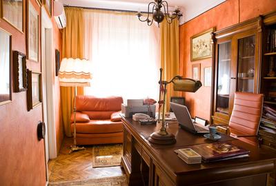 Vila desebita-POPA NAN- O oaza de liniste si verdeata in centrul orasului. - 4