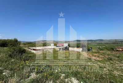 Teren intravilan | De vanzare | 700 mp | 25 ml deschidere | Micesti - 2