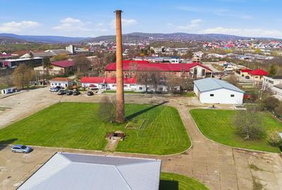 Spațiu industrial 4.4Ha Teren și 15.000mpc - Zona Industrială - Hârlău - 16