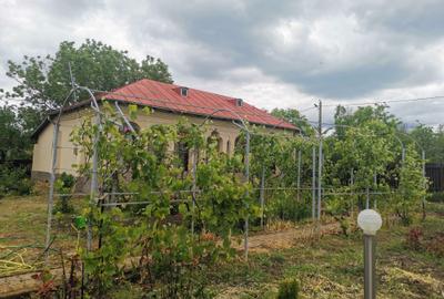 Casă individuală cu 3 camere în Viișoara