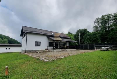 Complex turistic și proprietate deosebită de vânzare în Valea Dobârlău - 22