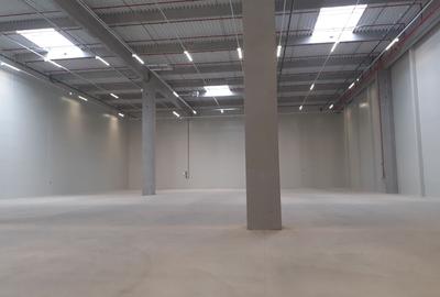 Depozite construite conform cerintelor / Warehouses build to suit - 2