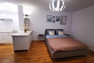 Apartament 1 camera Bulevardul Take Ionescu / Medicina ! - 12