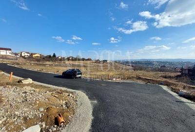 Teren intravilan pentru constructii de vanzare in Dambul Rotund - 1