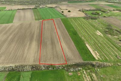 Teren Construcții intravilan de 5663 mp, în Oșorhei