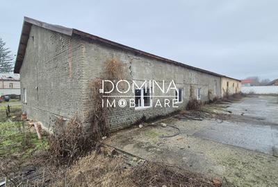 Vanzare Hala industriala cu teren 4.193 mp, situata in Barsesti - 2