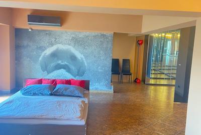 Bd. Unirii 5 camere Loft ! - 13