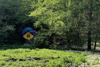 Teren 11557 mp comuna Ceahlau - 11