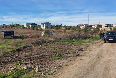 Teren intravilan construibil Techirghiol - 6