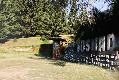 Vila la rosu - 15 camere, 700mp Baile Tusnad, Harghita - 5