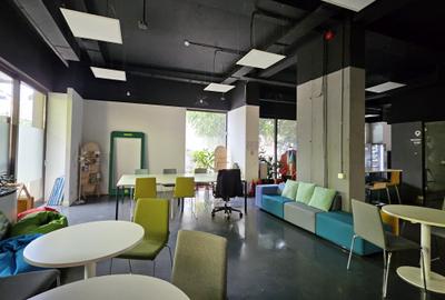 Pater cladire de birouri - Gradina Icoanei - 4