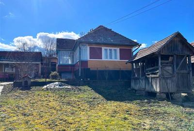 Tur 3D! Casa traditionala+ domeniu de 4.300 mp,livada,anexe:refugiu apreciabil C - 11