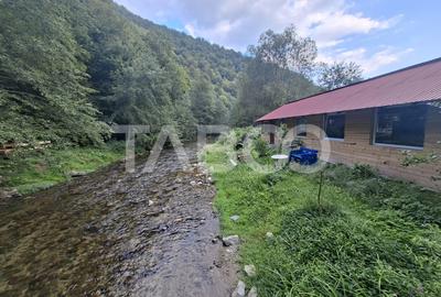 Spatiu de vanzare in Valea Macesului judel Valcea iesire la Lotru - 25