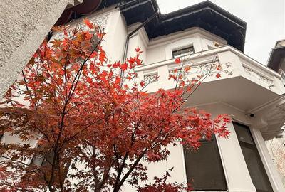 Vila pretabila activitate de birouri - 1