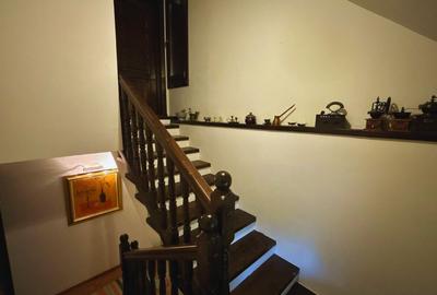 Vilă cu 10 camere P+2E+M 400 M² utili 2800 M² Teren Comandau - 15