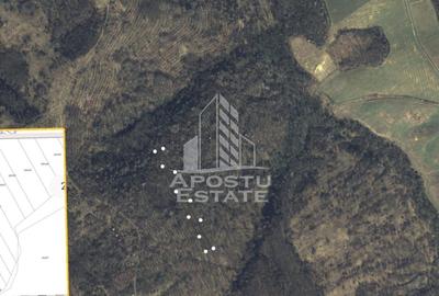 Teren Cuied – Livada 5400 mp - 1